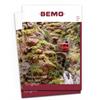 Bemo 0102022 BEMO Katalog H0e/ H0m/ 0m 2022