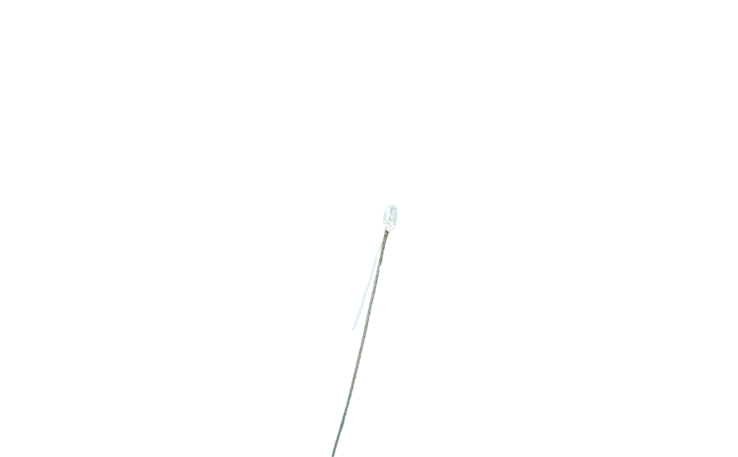 Brawa 3267 Kabelbirne mit 1 Kabel, 3V/15mA, klar