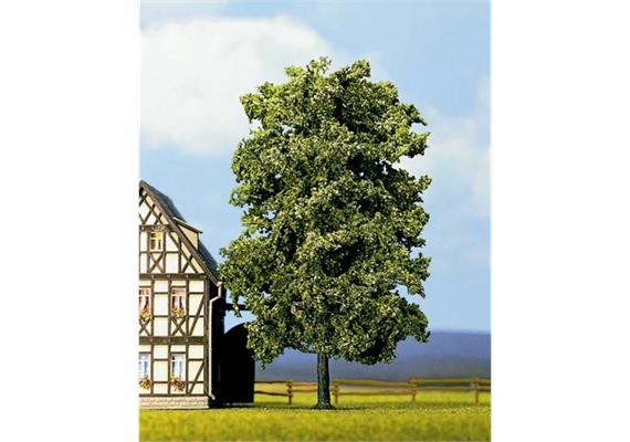 Linde 18,5cm