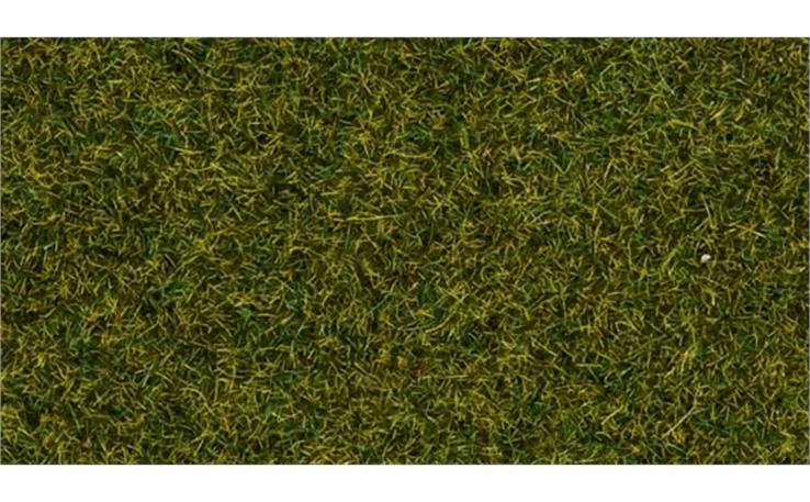 Noch 08212 Gras Wiese 1,5 mm 20g Beutel (VE5)