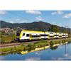 Trix 25463 E-Triebzug Desiro HC bwegt BR 1462/1862 DB, H0 DC Digital Sound